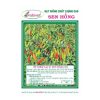 Gói 5gr Hạt giống Ớt chỉ thiên Sen Hồng 039