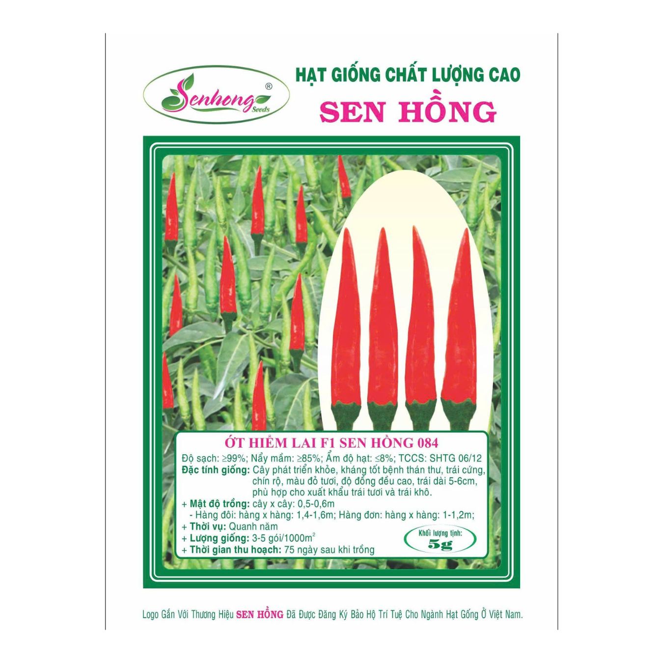 Gói 5gr Hạt giống Ớt hiểm lai F1 Sen hồng 084