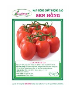 Gói 0.5gr Hạt giống Cà chua SH119 Sen Hồng