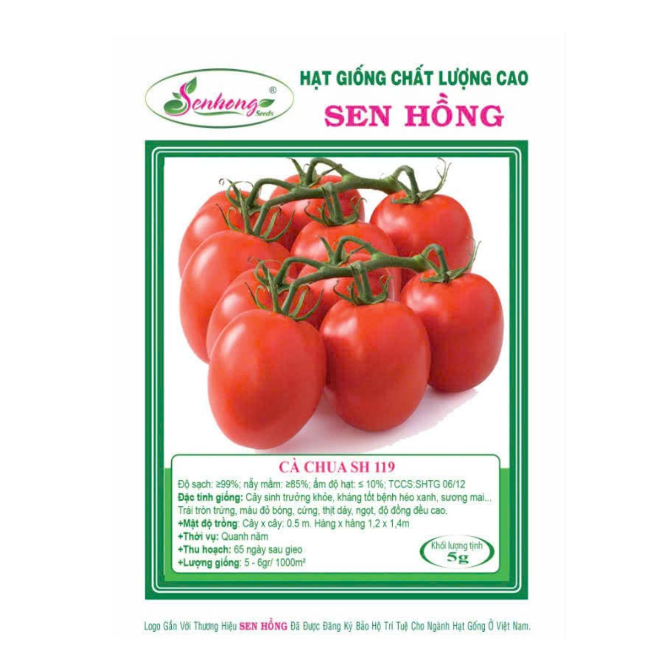 Gói 5gr Hạt giống Cà chua SH119 Sen Hồng