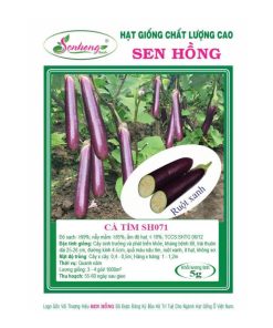 Gói 5gr Hạt giống Cà tím SH071 Sen Hồng