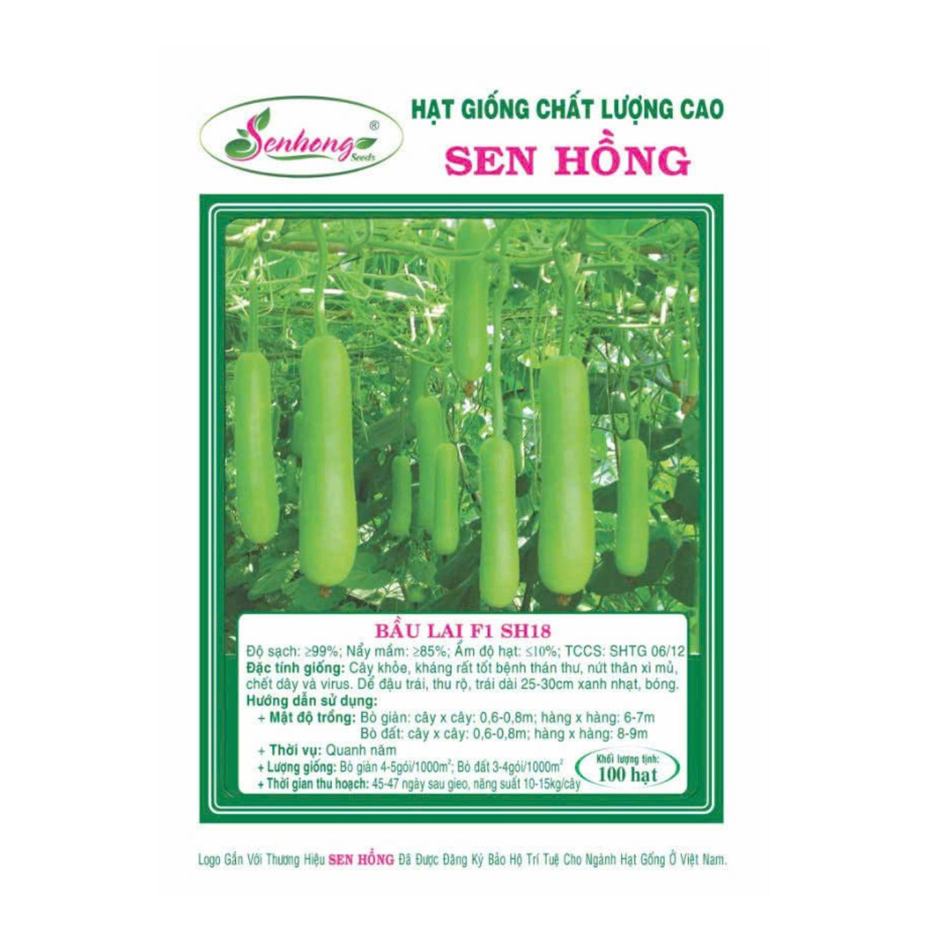 Gói 50H Hạt giống Bầu xanh da trơn SH18 Sen Hồng