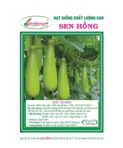Gói 20H Hạt giống Bầu xị SH21 Sen Hồng