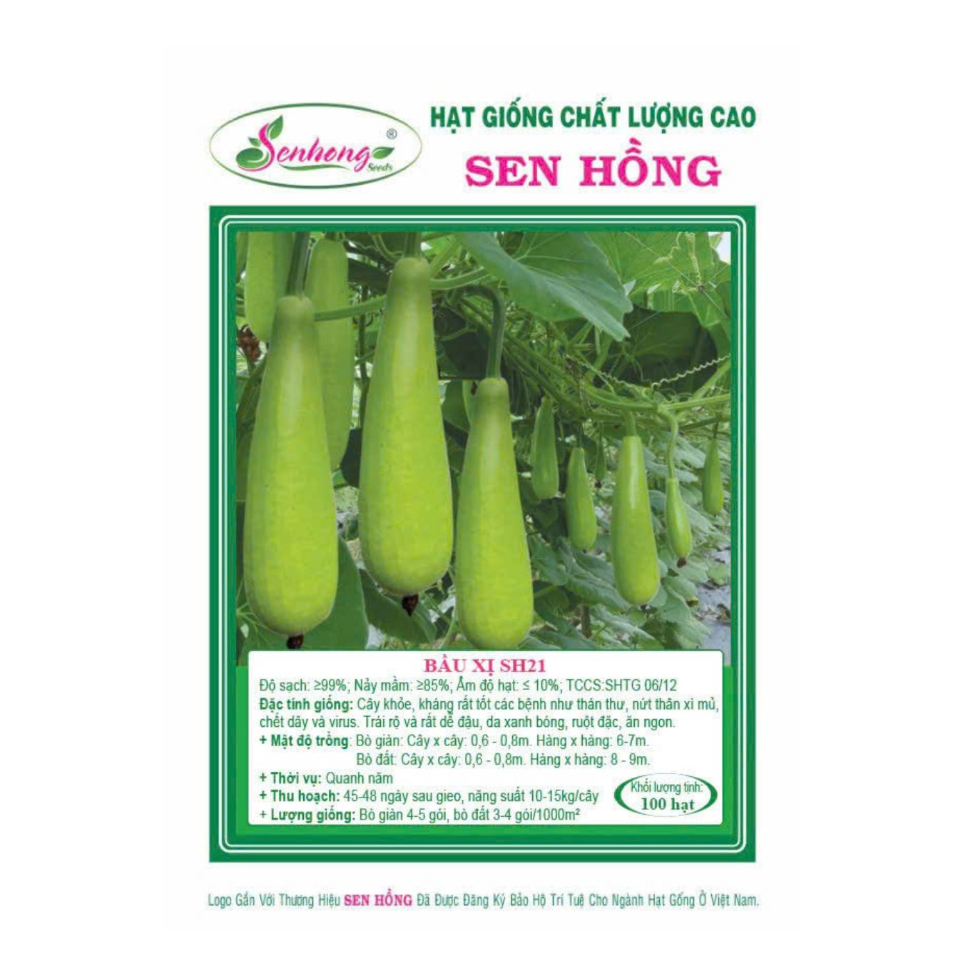 Gói 50H Hạt giống Bầu xị SH21 Sen Hồng
