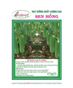 Gói 20H Hạt giống Bí đao SH64 Sen Hồng