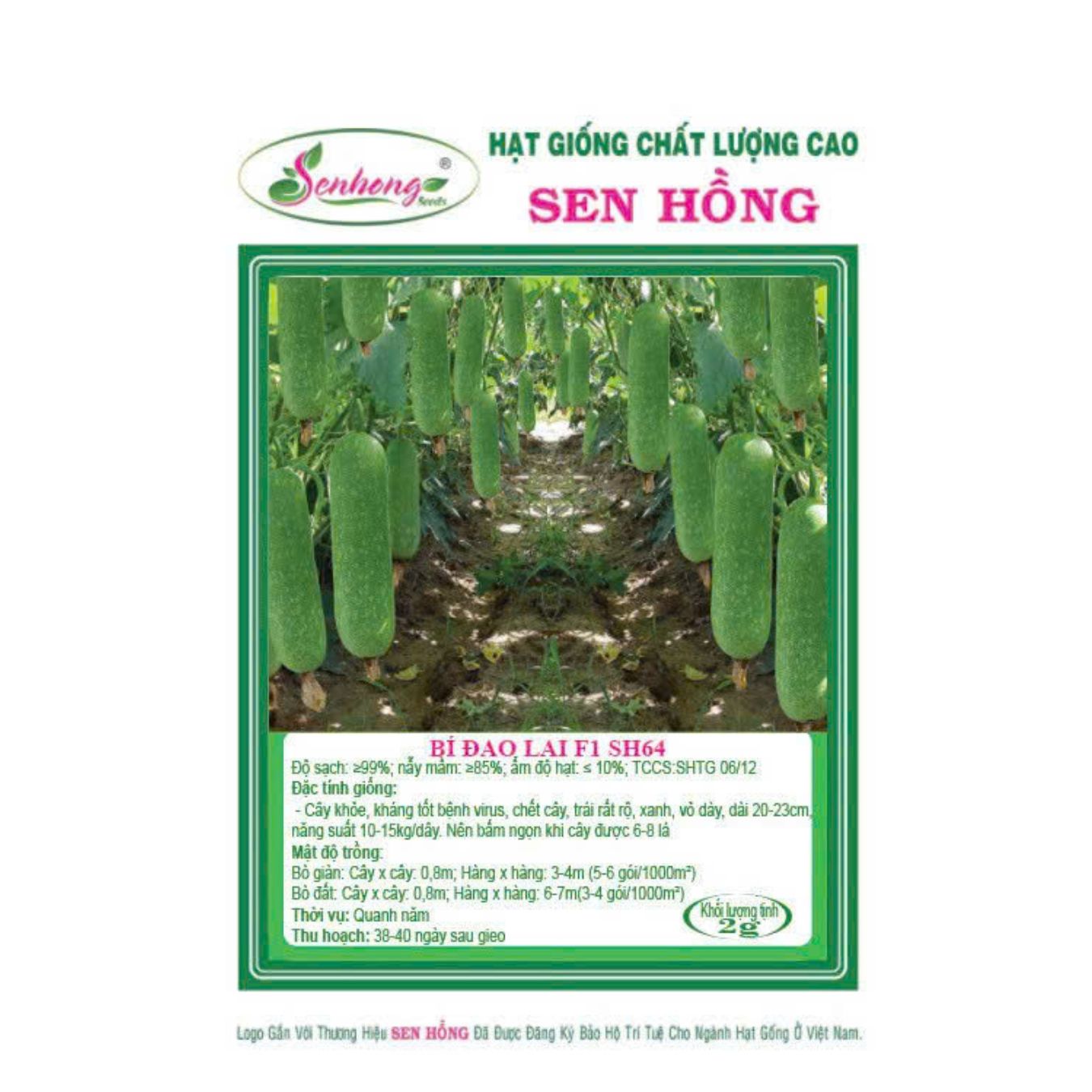 Gói 50H Hạt giống Bí đao SH64 Sen Hồng