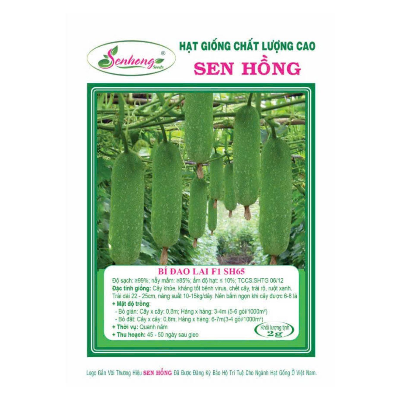 Gói 20H Hạt giống Bí đao SH65 Sen Hồng