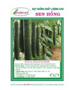 Gói 20H Hạt giống Bí đao trái dài SH658