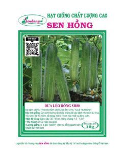 Gói 10gr Hạt giống Dưa leo SH80 Sen Hồng