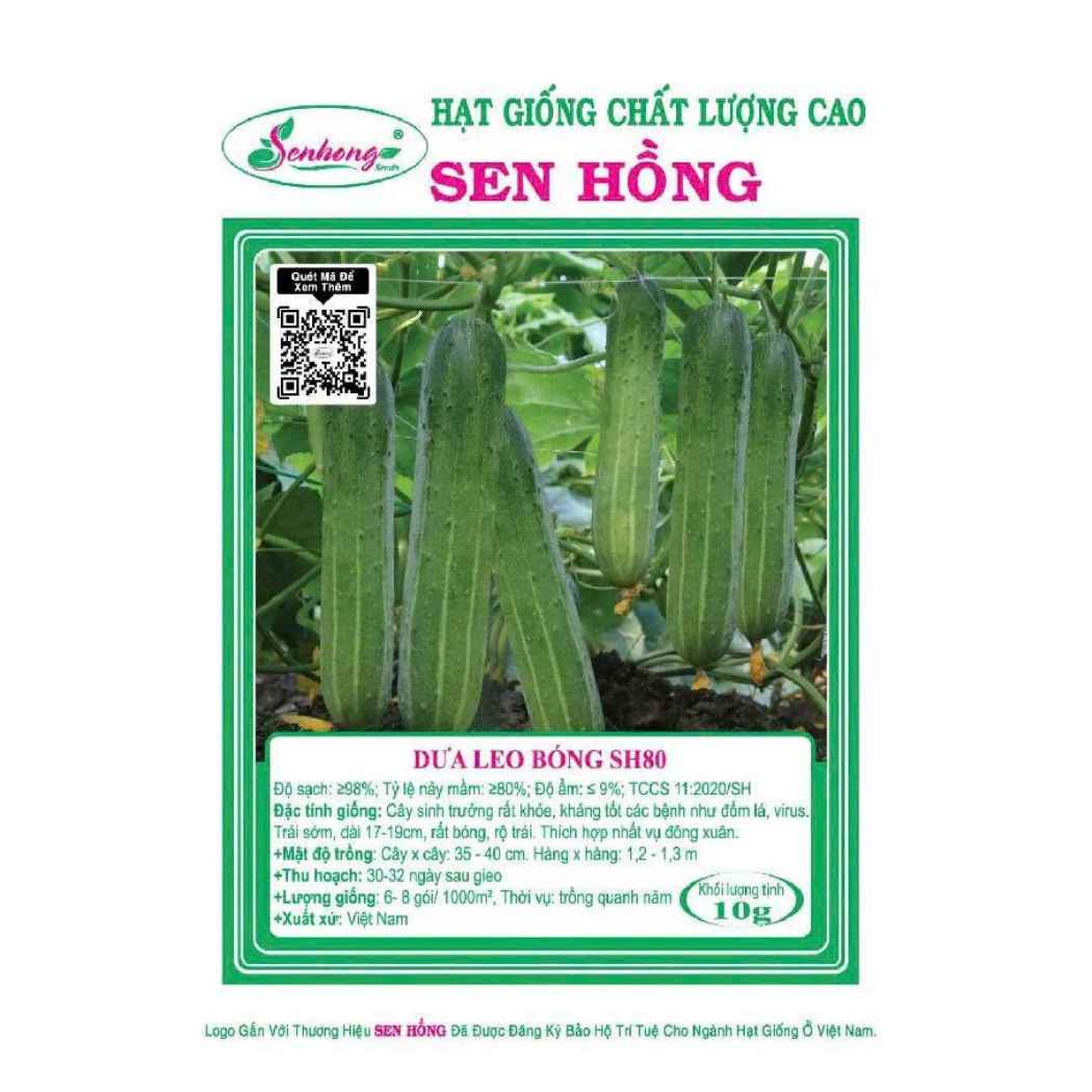 Gói 10gr Hạt giống Dưa leo SH80 Sen Hồng