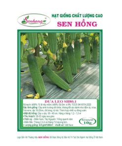 Gói 5gr Hạt giống Dưa leo SH80.1 Sen Hồng