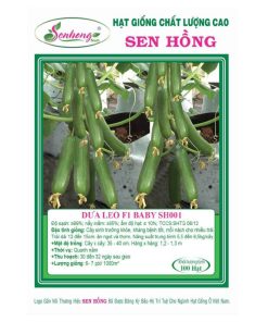 Gói 100H Hạt giống Dưa leo Baby SH001 Sen Hồng