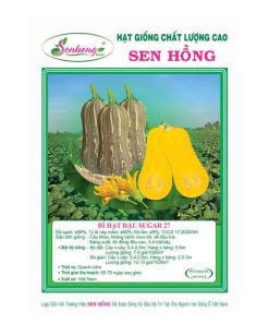 Gói 20H Hạt giống Bí đậu Sugar 27 SEN HỒNG
