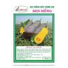 Gói 20H Hạt giống Bí đậu Sugar 28 SEN HỒNG