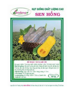 Gói 20H Hạt giống Bí đậu Sugar 28 SEN HỒNG