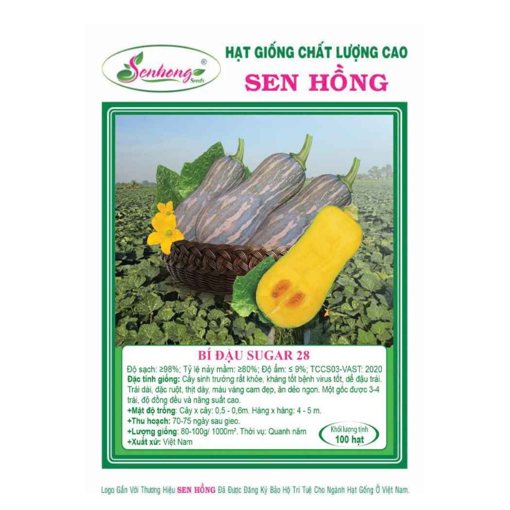 Gói 20H Hạt giống Bí đậu Sugar 28 SEN HỒNG