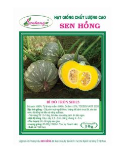 Gói 10gr Hạt giống Bí đỏ tròn SH123 SEN HỒNG