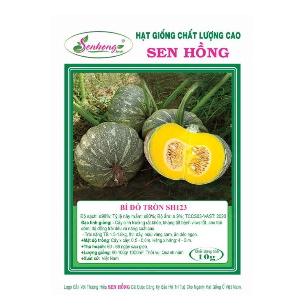Gói 10gr Hạt giống Bí đỏ tròn SH123 SEN HỒNG