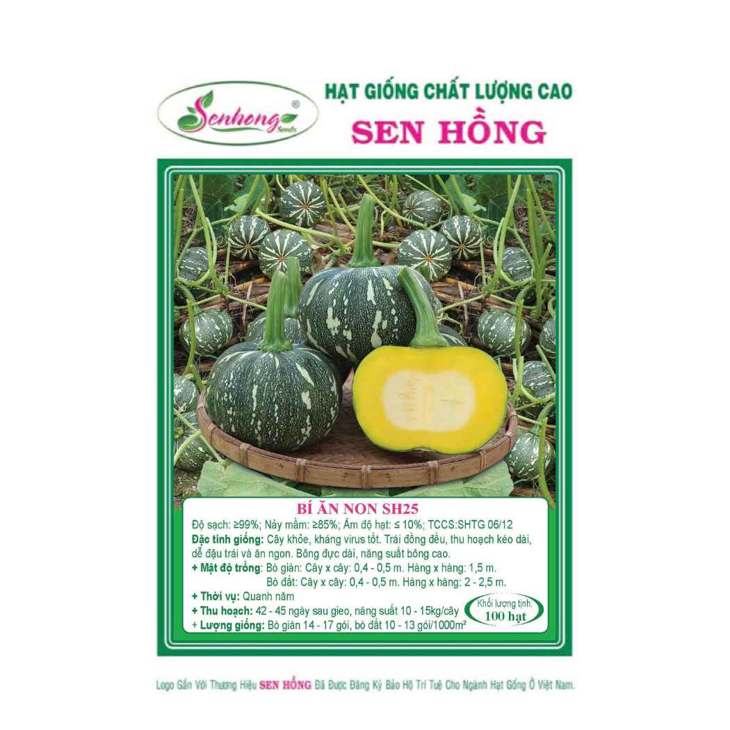 Gói 100H Hạt giống Bí Ăn Non SH25 Sen Hồng