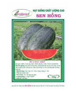 Gói 20H Hạt giống Dưa hấu SH65 Sen Hồng