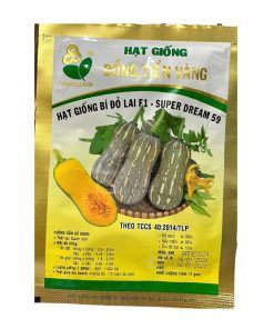 Gói 11g Hạt Giống Bí đỏ Super Dream 59 Đồng Tiền Vàng
