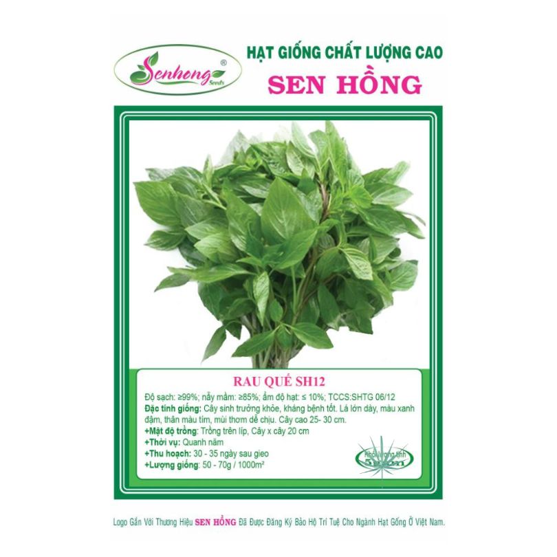 Gói 5gr Hạt Giống Rau quế SH12 Sen Hồng