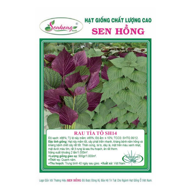 Gói 5gr Hạt giống Tía tô SH14 Sen Hồng