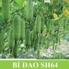 Gói 50H Hạt giống Bí đao SH64 Sen Hồng - Ảnh 4
