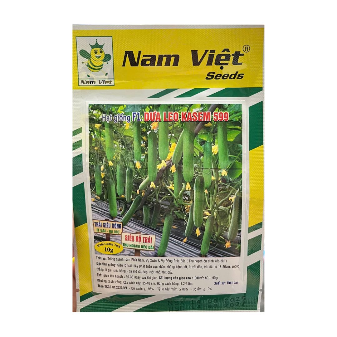 Hạt Giống Dưa Leo F1 Kasem 599 Trái Sai – 10g – Nam Việt Seeds