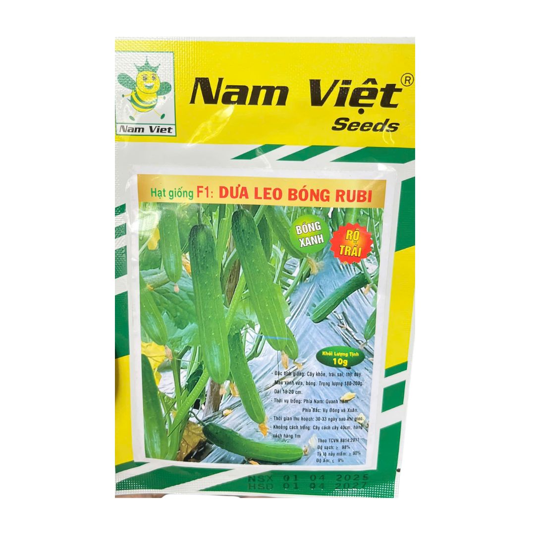 Hạt Giống F1 Dưa Leo Bóng Rubi Nam Việt – Bóng Xanh, Rộ Trái, Trái Dài 18–20cm – Gói 10g