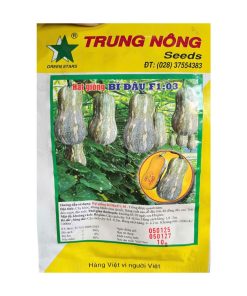 Gói 10GR Hạt Giống Bí Đậu Lai F1 03 – Hạt Giống Bí Đậu F1