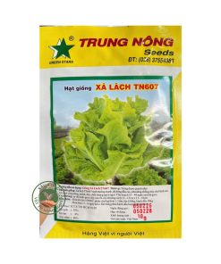 Gói 10GR Hạt Giống Xà Lách TN607 – Hạt Giống Rau Ăn Lá, Phù Hợp Trồng Tại Nhà