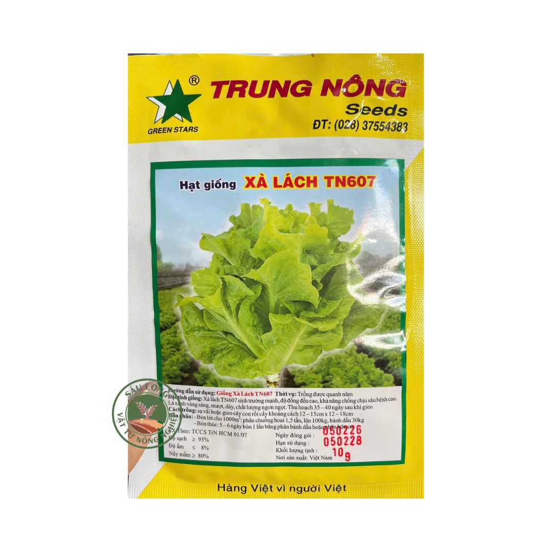 Gói 10GR Hạt Giống Xà Lách TN607 – Hạt Giống Rau Ăn Lá, Phù Hợp Trồng Tại Nhà