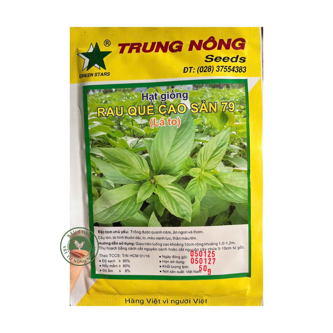 Gói 10G Hạt Giống Húng Quế Lá To 79 – Hạt Giống Rau Thơm Dễ Trồng, Lá To, Sinh Trưởng Tốt