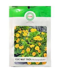Gói 5-10 Hạt Giống Hoa Cúc Mặt Trời Melampodium – Hoa Vàng Sáng, Ra Hoa Liên Tục, Cây Cao 15-30CM