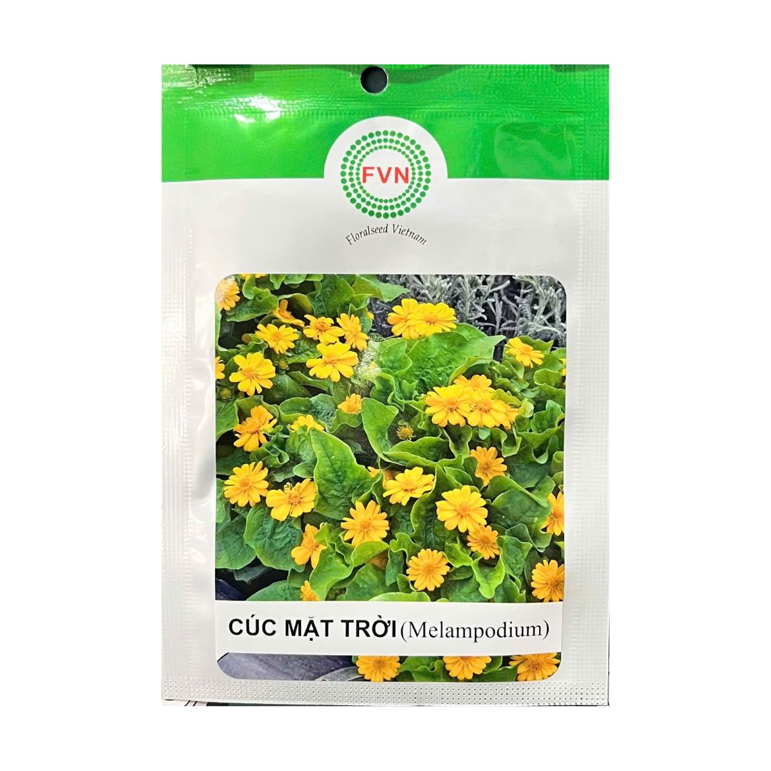 Gói 5-10 Hạt Giống Hoa Cúc Mặt Trời Melampodium – Hoa Vàng Sáng, Ra Hoa Liên Tục, Cây Cao 15-30CM