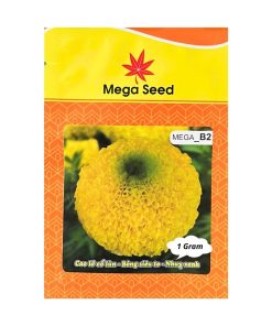 Gói 1G Hạt Giống Vạn Thọ F1 MEGA B2 – Vàng Chanh, Cổ Cứng, Bông To, Cây Khỏe – Mega Seed