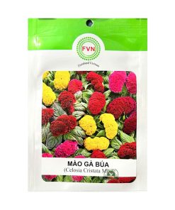 Gói 10-15 Hạt Giống Hoa Mào Gà Búa Celosia – Hoa Lớn, Màu Sắc Rực Rỡ, Ra Hoa Sớm