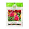 Gói 15-20 Hạt Giống Hoa Mào Gà Lửa Celosia – Hoa Đẹp, Nở Lâu, Chịu Nắng Nóng