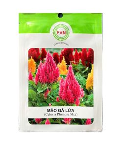Gói 15-20 Hạt Giống Hoa Mào Gà Lửa Celosia – Hoa Đẹp, Nở Lâu, Chịu Nắng Nóng