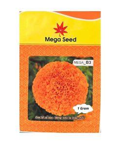 Gói 1G Hạt Giống Vạn Thọ F1 MEGA B3 – Cam Đỏ, Cổ Lùn, Bông Siêu To – Mega Seed