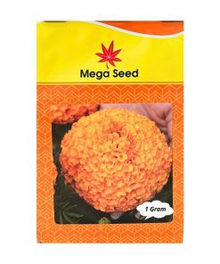 Gói 1G Hạt Giống Vạn Thọ Lùn F1 BINDI Cam Đỏ – Cổ Lùn, Bông To – Mega Seed