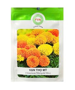 Gói 10-15 Hạt Giống Hoa Vạn Thọ Mỹ – Hoa To 7-8CM, Mặt Hoa Vun Tròn, Cây Thấp Đẹp