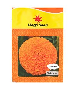 Gói 1G Hạt Giống Vạn Thọ F1 BINDI(+) Cam Đỏ – Cổ Lùn, Bông 8-10CM – Mega Seed