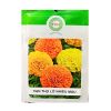 Gói 10-15 Hạt Giống Hoa Vạn Thọ Lỡ Nhiều Màu – Hoa To 8-10CM, Cây Khỏe, Tán Đẹp