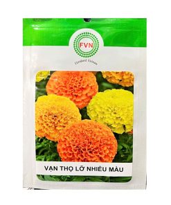 Gói 10-15 Hạt Giống Hoa Vạn Thọ Lỡ Nhiều Màu – Hoa To 8-10CM, Cây Khỏe, Tán Đẹp
