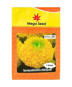 Gói 1G Hạt Giống Vạn Thọ F1 MEGA G8 – Vàng Chanh, Cổ Cứng Khỏe, Bông To – Mega Seed