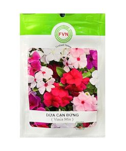 Gói 10-15 Hạt Giống Hoa Dừa Cạn Đứng – Hoa To, Nhiều Nhánh, Trang Trí Chậu Và Cảnh Quan