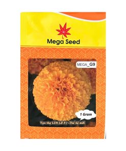 Gói 1G Hạt Giống Vạn Thọ F1 MEGA G9 – Cam Lùn, Cổ Cứng Khỏe, Bông To – Mega Seed