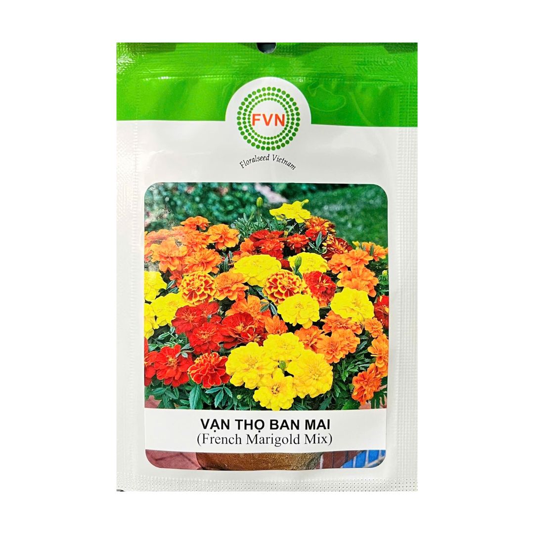 Gói 15-20 Hạt Giống Hoa Vạn Thọ Ban Mai – Cây Khỏe, Tán Đẹp, Màu Sắc Đa Dạng, Dễ Trồng
